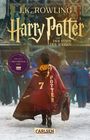 „Harry Potter und der Stein der Weisen“ steht oben. Ein Junge in rotem Umhang mit „Potter 7“ geht im Schnee.