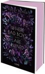 Holly Renee: Where Bad Boys are Ruined (Good Girls 3), Buch