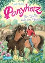 Usch Luhn: Ponyherz 24: Ein Fohlen sucht eine Familie, Buch