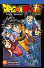 Toyotarou: Dragon Ball Super 19, Buch