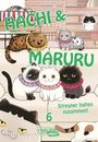 „Hachi & Maruru“, „Streuner halten zusammen!“, „6“. Fünf Katzen tragen bunte Halskrausen in einer gemütlichen Umgebung.