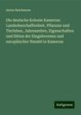 Anton Reichenow: Die deutsche Kolonie Kamerun: Landesbeschaffenheit, Pflanzen und Tierleben, Jahreszeiten, Eigenschaften und Sitten der Eingeborenen und europäischer Handel in Kamerun, Buch