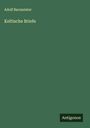 Adolf Bacmeister: Keltische Briefe, Buch
