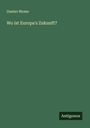 Gustav Blome: Wo ist Europa's Zukunft?, Buch