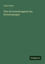 Julius Ficker: Über die Entstehungszeit des Sachsenspiegels, Buch