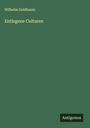 Wilhelm Goldbaum: Entlegene Culturen, Buch