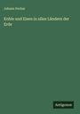 Johann Pechar: Kohle und Eisen in allen Ländern der Erde, Buch
