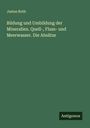 Justus Roth: Bildung und Umbildung der Mineralien. Quell-, Fluss- und Meerwasser. Die Absätze, Buch