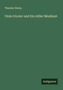 Theodor Storm: Viola tricolor und Ein stiller Musikant, Buch