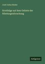 Josef Julius Binder: Streifzüge auf dem Gebiete der Nibelungenforschung, Buch