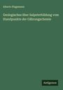 Alberto Plagemann: Geologisches über Salpeterbildung vom Standpunkte der Gährungschemie, Buch