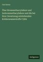Carl Dorno: Über Brommethacrylsäure und Isobrommethacylsäure und die bei ihrer Zersetzung entstehenden Kohlenwasserstoffe C3H4, Buch