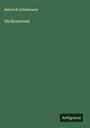 Heinrich Schliemann: Orchomenos, Buch