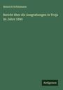 Heinrich Schliemann: Bericht über die Ausgrabungen in Troja im Jahre 1890, Buch