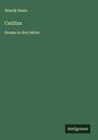 Henrik Ibsen: Catilina, Buch