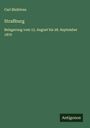 Carl Bleibtreu: Straßburg, Buch
