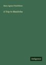 Mary Agnes Fitzgibbon: A Trip to Manitoba, Buch