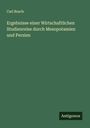 Carl Bosch: Ergebnisse einer Wirtschaftlichen Studienreise durch Mesopotamien und Persien, Buch