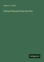 Julia A. J. Foote: A Brand Plucked from the Fire, Buch