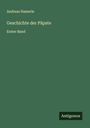 Andreas Hamerle: Geschichte der Päpste, Buch