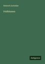 Heinrich Zschokke: Feldblumen, Buch