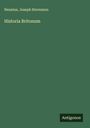 Nennius: Historia Britonum, Buch