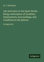 M. T. Shelhamer: Life And Labor In The Spirit World; Being a Description of Localities, Employments, Surroundings, And Conditions in the Spheres, Buch