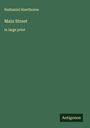 Nathaniel Hawthorne: Main Street, Buch