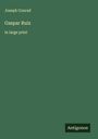 Joseph Conrad: Gaspar Ruiz, Buch