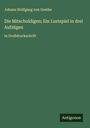 Johann Wolfgang von Goethe: Die Mitschuldigen; Ein Lustspiel in drei Aufzügen, Buch