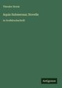 Theodor Storm: Aquis Submersus; Novelle, Buch