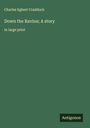 Charles Egbert Craddock: Down the Ravine; A story, Buch
