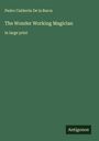 Pedro Calderón De La Barca: The Wonder Working Magician, Buch