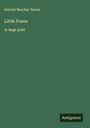Harriet Beecher Stowe: Little Foxes, Buch