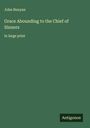 John Bunyan: Grace Abounding to the Chief of Sinners, Buch