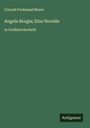 Conrad Ferdinand Meyer: Angela Borgia; Eine Novelle, Buch
