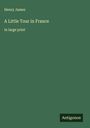 Henry James: A Little Tour in France, Buch
