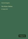 Charles Kingsley: The Water-Babies, Buch