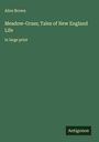 Alice Brown: Meadow-Grass; Tales of New England Life, Buch