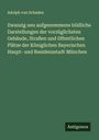 Adolph Von Schaden: Zwanzig neu aufgenommene bildliche Darstellungen der vorzüglichsten Gebäude, Straßen und öffentlichen Plätze der Königlichen Bayerischen Haupt- und Residenzstadt München, Buch