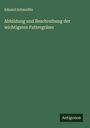 Eduard Schmidlin: Abbildung und Beschreibung der wichtigsten Futtergräser, Buch
