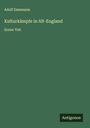 Adolf Dammann: Kulturkämpfe in Alt-England, Buch