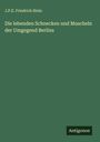 J. P. E. Friedrich Stein: Die lebenden Schnecken und Muscheln der Umgegend Berlins, Buch