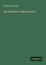 Wilhelm Neumann: Die Stiftshütte in Bild und Wort, Buch