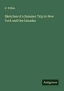 D. Wilkie: Sketches of a Summer Trip to New York and the Canadas, Buch