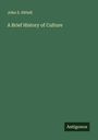 John S. Hittell: A Brief History of Culture, Buch