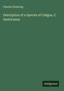 Charles Pickering: Description of a Species of Caligus, C. Americanus, Buch