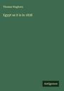 Thomas Waghorn: Egypt as it is in 1838, Buch