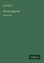 Adolf Stern: Bis zum Abgrund, Buch