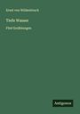 Ernst Von Wildenbruch: Tiefe Wasser, Buch